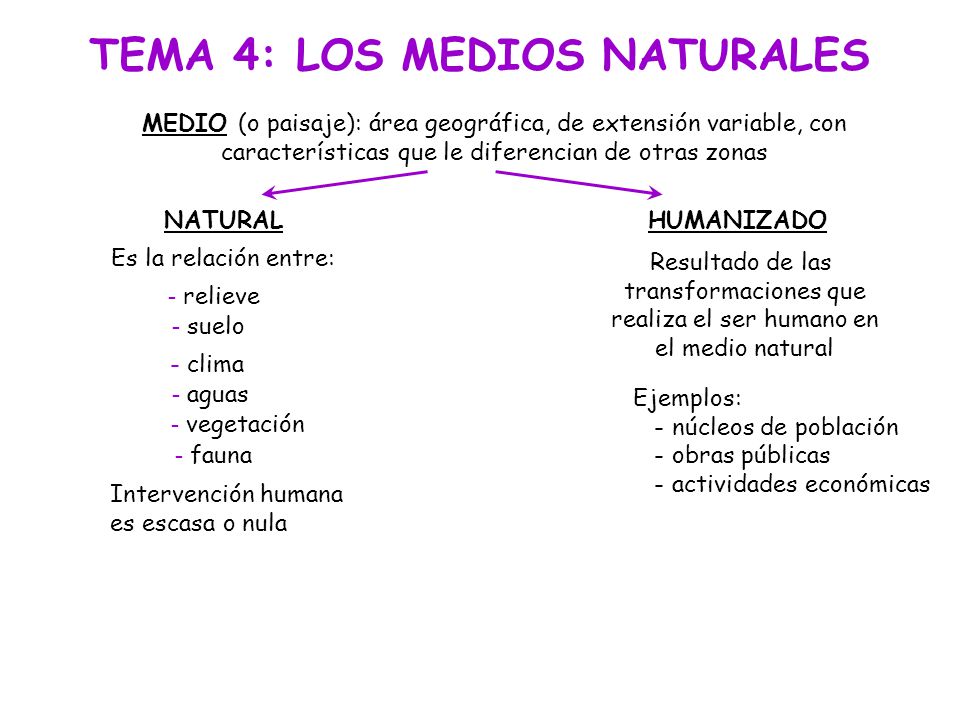 Las causas de la aparición de la eccema microbiana en los pies y las manos